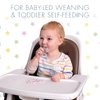 Nooli Baby Utensils Baby Feeding Baby Forks Baby Spoon Baby Feeding Supplies, BPA Phthalates-Free, Dishwasher and Sterilizer Safe, Gray