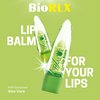 BioRLX Aloe Vera Lip Balm (Twelve Lip Balms)