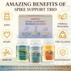 Spike Support Trio | Liposomal Nattokinase 8000 FU 500mg, Bromelain 1150 mg & Fermented Curcumin 1800 mg | High Potency, Enhanced Absorption Formula | for Immune, Heart & Circulatory| 60 Servings