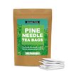 Pine Needle Tea Bags, 40 Teabags, Pine Needles Herbal Tea
