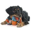 Animal Planet Puppy Teething Toy: 11" Rope w/Spikey Ball for Small/Medium Dogs. Rope-n-Tug Encourages Mild & Less Aggressive Chewers to Safely Play Without The Mess