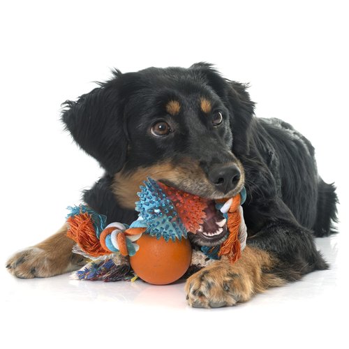 Animal Planet Puppy Teething Toy: 11" Rope w/Spikey Ball for Small/Medium Dogs. Rope-n-Tug Encourages Mild & Less Aggressive Chewers to Safely Play Without The Mess