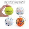 DLDER Dog Balls for Aggressive Chewers,Indestructible Floating Bouncy Balls for Dogs Small Breed,Lightweight Durable Solid Dog Balls for Puppy/Small/Medium Dogs-Odourless-2.5"-(4 Pack)