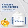 SKIN LAB Lift & Firm DAILY MOISTURIZER - Hydrolyzed Collagen & Elastin, Vitamin C and Vitamin E to Moisturize, Soften & Soothe Fine Lines and Wrinkles 1.7 Oz.