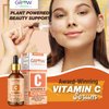 True Skin Vitamin C Serum for Face with Hyaluronic Acid, Vitamin E, Aloe Vera and Jojoba Oil, Hydrating & Brightening Serum for Anti Aging, Dark Spots, Fine Lines & Wrinkles, 1 fl oz