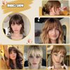 TENDER EPOCH Bangs Hair Clip in Bangs - Fake Curtain Flat French Bangs Clip on Hair Extensions, Natural Thick Bangs Fringe with Temples Hairpieces for Women Daily Wear - Light Brown
