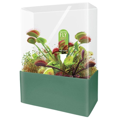 Unique Gardener Grow Your Own Venus Fly Trap - Complete Kids Terrarium Kit to Plant Fascinating Man Eating Fly Traps - Includes Everything Needed to Get Started
