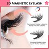 Magnetic Eyelashes without Eyeliner - Reusable Dual Magnetic lashes with 16 Pairs, No Glue 3D False Eyelashes Kit, Magnetic Eyelashes Natural Look