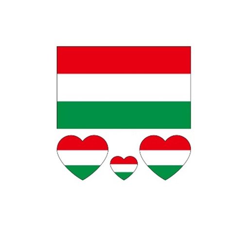 ZPDNURZL 10 Sheets Hungary Flag Tattoos Stickers 40 Pcs Waterproof Sweat Sports National Flag Removable Fake Tattoos