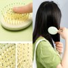 24PCS Wet Dry Hair Brush Folding Mini Travel Portable Soft Mirror Brush Wet Small Hair Brush Colorful Hair Combs Set,Plastic Pocket Detangler Hair Combs Children's Day Gift(2 Style)