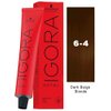 Schwarzkopf Igora Royal 6-4 Dark Blonde Beige Permanent Hair Color and M Hair Designs Tint Brush (Bundle 2 items)