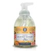 Nature's Oil Foaming Hand Soap, Citrus Grove, 10 Fluid Ounces (Single Unit)
