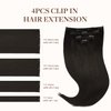 GOO GOO Clip in Hair Extensions Real Human Hair, 16inch 60g 4Pcs, 2 Dark Brown, Remy Human Hair Extensions Clip ins for Women, Natural Human Hair