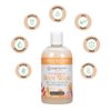 Ginger Lily Farms Botanicals Nourishing Body Wash, Coco Mango, 100% Vegan & Cruelty-Free, Coconut Mango Scent, 12 Fl Oz