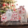 TheDisplayGuys For Your Modern Living 48pk - 4x6 Muslin Pouches with Drawstring - Presents, Party Favors, Samples (Silver Stars, Small)