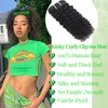 HLSK Kinky Curly Clip in Hair Extensions Human Hair for Black Women -120G 16Inch 8Pcs 18Clips Double Weft Brazilian Remy Human Hair Curly Clip in Extensions Thick to Ends Natural Black