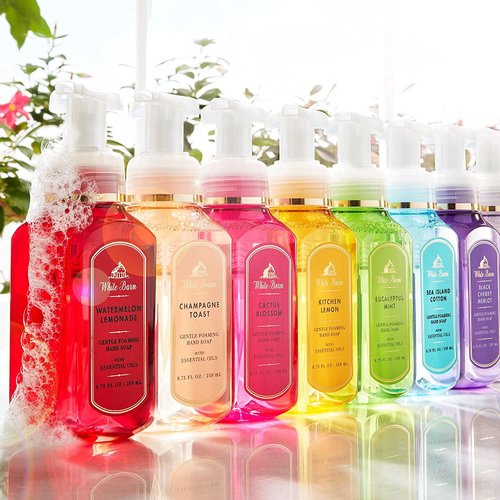 Bath & Body Works Gentle Foaming Hand Soap Frosted Coconut Snowball