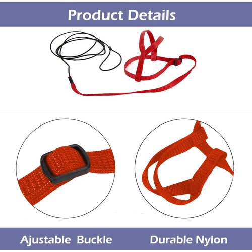 CIEOVO Bird Harness, Adjustable Parrot Nylon Leash with Anti-bite Design for Outdoor Activities Training, Suitable for Eastern Bluebonnet Parrot, Cockatoo, Parakeet, Doves 6.2ft (S)