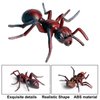 JOKFEICE Realistic Animal Figures Red Ant Figurines Insect Toy, Science Project, Cake Topper, Early Educational Toys Birthday for Toddlers Kids Age 3 4 5
