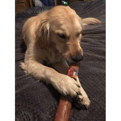 Loopies Stoggie Faux Leather Squeaker Fetch Dog Toy