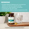 Himalaya Berberine for Metabolism & Cholesterol Support, GI Support & Immune Support, 1000 mg Serving, Berberine HCL from Indian Barberry Root, Vegan, Gluten Free, Herbal Supplement, 60 Capsules