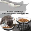 Wellbro Cat Bowls, Elevated Cat Bowl, Raised Ceramic Cat Dish with Metal Stand, Pet Water or Food Feeding Station for Indoor Cats, Kitten, Puppies and Small Dogs, Dishwasher Safe