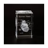 Ultrassist 3D Human Heart Crystal Model, Laser Etched Anatomical Model for Home and Office Decoration, Cardiology Gifts