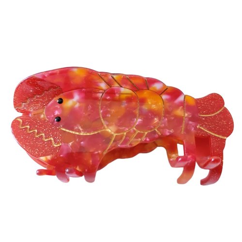 Lobster Claw Clip,Acetate Hair Clips,Small Claw Clips for Women