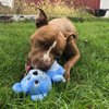 SmartPetLove Tender-Tuffs - Comfort Plush - Tough Dog Toy - Proprietary TearBlok Technology - Soft Blue Bear with Squeaker