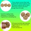 Bonka Bird Toys 1276 (Pk3) Coconut Fiber Balls 3", Parrot Foot Talon Chew Forage Cage Toy, Amazon, African Grey, Pionus, and Similar