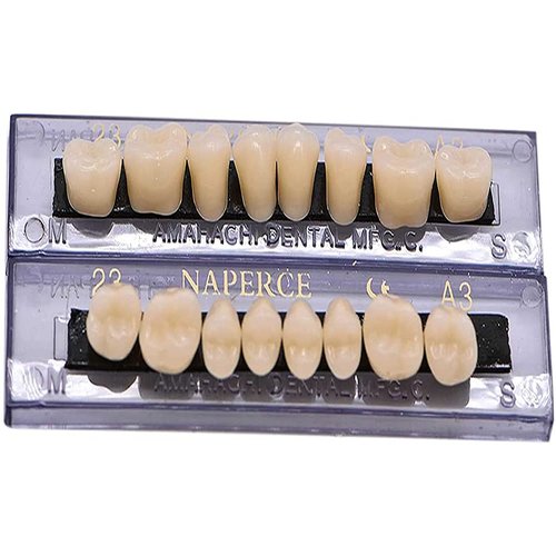 RZJZGZ Dental Synthetic Resin Tooth Denture False Teeth for Halloween Horror Teeth 23 A3(56 Pcs/2Set)