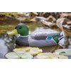 Pond H2o Floating Duck Decoy Family Pack, Contains One Male Mallard (Drake), One Female Mallard (Hen) and 3 Ducklings, Decoy, Yard Decoration