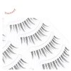 Manga Lashes Natural Look False Eyelashes with Clear Band, Japanese Anime Cosplay Eyelashes Asian Lahes, Reusable Fake Eye Lashes, 5 Pairs