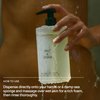 SALT & STONE Antioxidant-Rich Body Wash - Bergamot & Hinoki | Cleanse, Nourish & Soften Skin with Niacinamide & Hyaluronic Acid | Free From Parabens, Sulfates & Phthalates (15.2 fl oz)