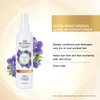 BIOTERA Ultra Moisturizing Leave-in Conditioner | Deeply Conditions & Detangles | Dry, Damaged, Coarse Hair | Vegan & Cruelty Free | Paraben Free | Color-Safe | 8 Fl Oz