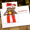 Scooter Cats Holiday Card Pack / 25 Animal Humor Greeting Cards With Envelopes/Funny Scooter Cat Santa Hat Design Featuring Christmas Message Inside