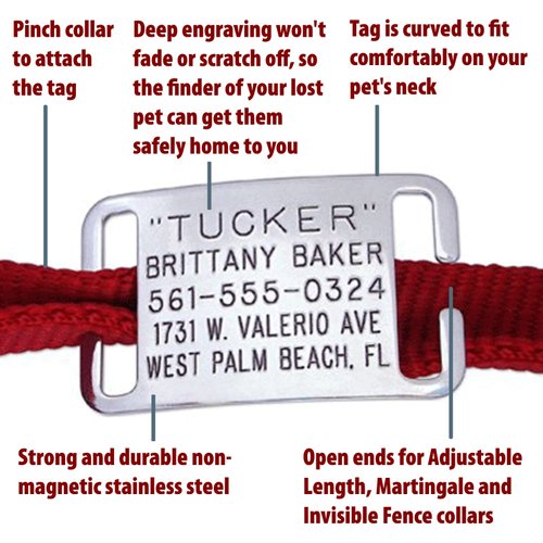 CollarTags Cat Tag - Will Last Your Pets Lifetime, Boomerang Tags, Cat Tags Personalized Small, Engraved Steel Silent Cat ID Tag, Small Dog Tag (Open End X-Small for 3/8 or 1/2 Inch Snap Style Collar)