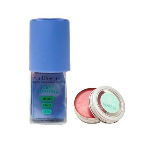 Bath & Body Works Blue Wallflowers Scent Control Fragrance Plug and a Strawberry Lip Balm