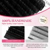Eyelash Extensions 0.05mm Thickness Volume Lash Extensions DD Curl Lashes Mix 10-17mm Pestañas Pelo a Pelo Matte Black Volume Lashes Soft Lash Trays Individual Lashes Professional Use(0.05-DD,10-17mm)