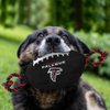 Pets First NFL Atlanta Falcons Football Dog Toy, Tough Quality Nylon Materials, Strong Pull Ropes, Inner Squeaker, NFL Team Color