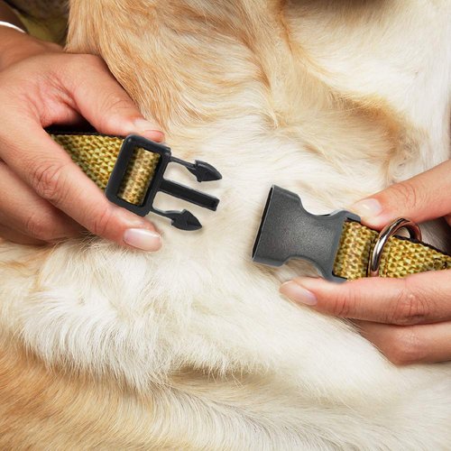 Dog Collar Plastic Clip Metallic Gold 18 to 32 Inches 1.5 Inch Wide