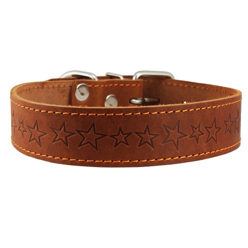 Genuine Leather Dog Collar Stars Pattern Brown 4 Sizes (Neck Circumf: 18"-21"; 1.5" Wide)