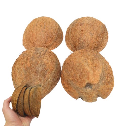Bonka Bird Toys 3275 Pk4 Half Shell Coconuts with Fiber Bird Parrot Foot Toy Craft Natural Forage Chewing Party Arts Craft Parrot Macaw African Grey