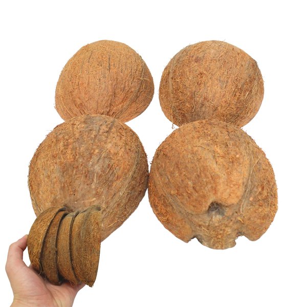 Bonka Bird Toys 3275 Pk4 Half Shell Coconuts with Fiber Bird Parrot Foot Toy Craft Natural Forage Chewing Party Arts Craft Parrot Macaw African Grey