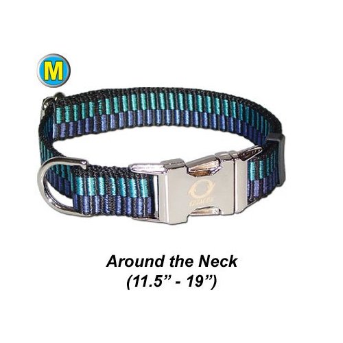 Collar w/ All Metal Hardware - Medium 11.5 - 19" - Turquoise Pet/Dog Collar