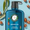 Herbal Essences Bio Renew Repair Argan OIl Hair Conditioner - 20.2 fl oz