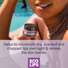 Eco Lips Daily Plumping Lip Mask with Hyaluronic Acid + Overnight Intensive Lip Mask with Gotu Kola 2-pack by Eco Lips 100% Natural. Made in USA