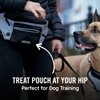 Canada Pooch Everything Dog Walking Fanny Pack - Dog Fanny Pack with Dog Poop Bag Dispenser & Dog Treat Pouch, Great as Dog Training Fanny Pack, Adjustable up to 54” - Reflective