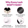 Eyesy Lash 500 Wispy Lash Extensions | 5D 0.07 Size 10mm Curl C | Wispy Natural Lash Look Premade Fans Eyelash Extensions Kim K American Volume Promade Fans Handmade Pre Made Loose Fan Lashes