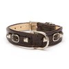 Balencioochee Tabbed Dog Collar, Buckles, Small Size 9-11, Black with Silver Buckles